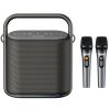 Bluetooth Колонка Amaya SC500 Two-person 80W + два мікрофона Black