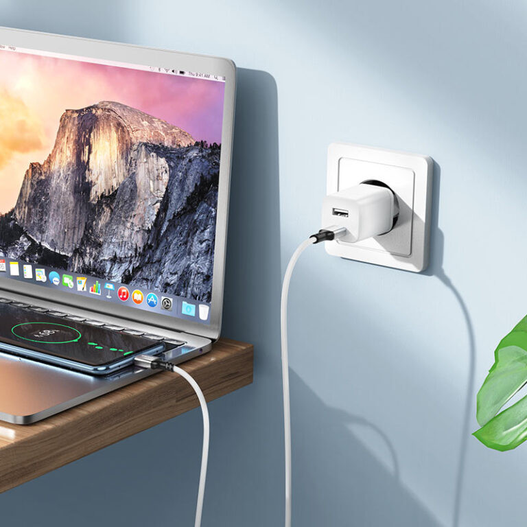 Дата кабель Borofone BX83 Famous PD 60W USB-C → USB-C (1 м)