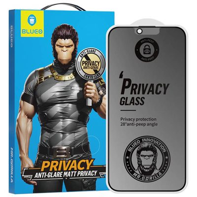 Захисне 2.5D скло Blueo Full Cover Anti-Peep Matte для Apple iPhone 13 Pro/13/14/16e/17e (6.1") Чорний